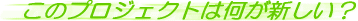 ���̃v���W�F�N�g�͉����V�����H